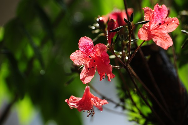 一如初心（中冶天工集團(tuán)天津有限公司第四建筑工程分公司 陳宜彤 攝影）.jpg